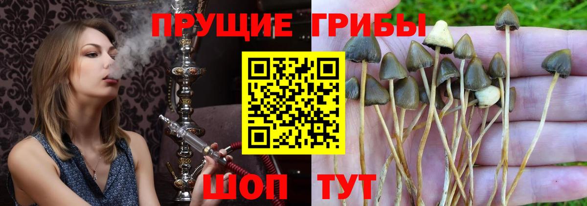 Галлюциногенные грибы ЛСД  Вход с VPN  Карталы 